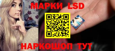 mdpv Гатчина
