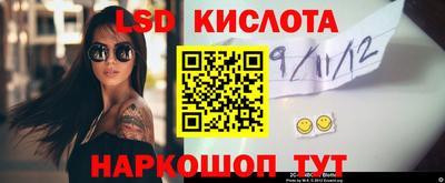 mdpv Гатчина