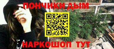 mdpv Гатчина